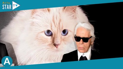 « Je t'aime pour toujours » : l'hommage de Choupette à Karl Lagerfeld pour la fête des pères