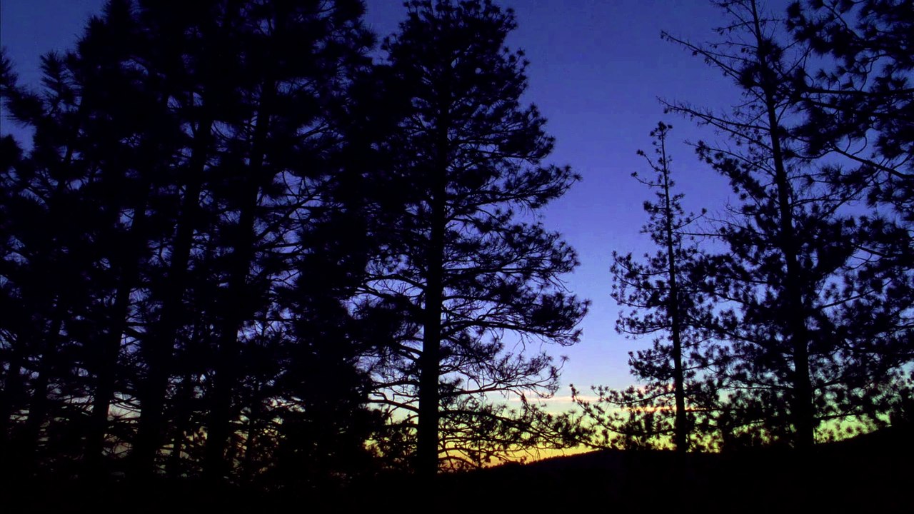 Abominable | movie | 2006 | Official Trailer