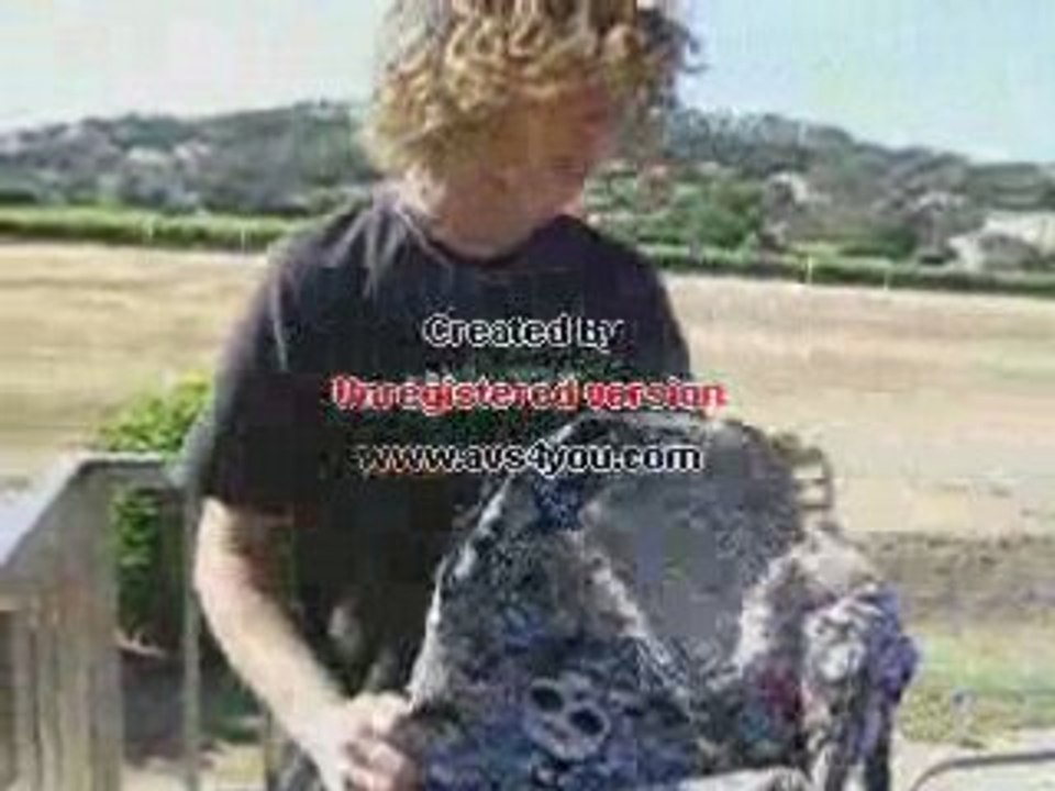 Soucidarium  du riechst so gut