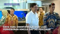 Luhut Binsar Pandjaitan Wajibkan Pemilik Kebun Kelapa Sawit Melapor ke Pemerintah Mulai 3 Juli