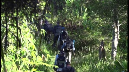 Titan sub incident prompts questions around tourism safety