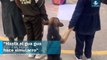 Perrito enternece al participar en simulacro escolar por sismo y se viraliza