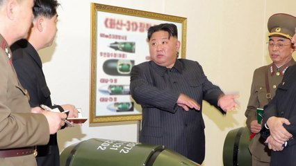 미 "북한 핵무기 용도는 강압 외교수단" / YTN