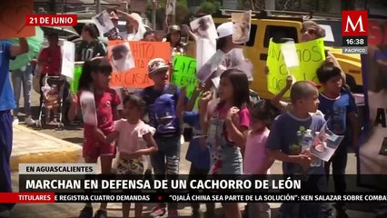 Se registra marcha en Aguascalientes para exigir a Profepa la liberación de un cachorro de león