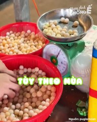 Độc lạ trứng ba ba lòng trắng dù đã chín vẫn dẻo như thạch, lòng đỏ lại mặn mặn như trứng muối | Điện Ảnh Net