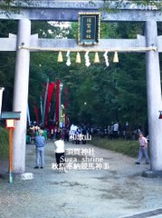 Wakayama    Suga  shrine  須賀神社