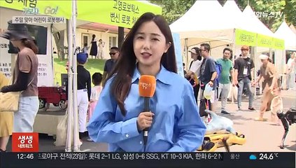'K-로봇' 직접 보고 체험하는…어린이 로봇행사