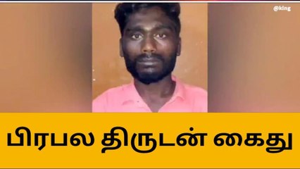 ஓட்டப்பிடாரம்: அடுத்தடுத்த வீடுகளில் திருடிய பிரபல திருடன் கைது