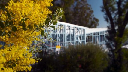 Push for more ‘resilient’ houses to cope with future climate