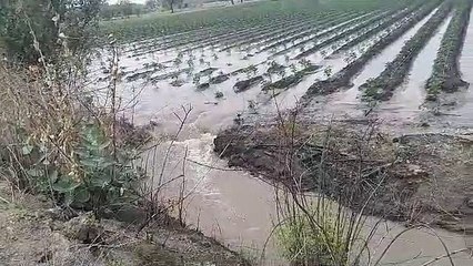 VIDEO... टेस्टिंग के दौरान फूटी नागलवाड़ी उद्वहन सिंचाई परियोजना की अंडर ग्राउंड पाइपलाइन