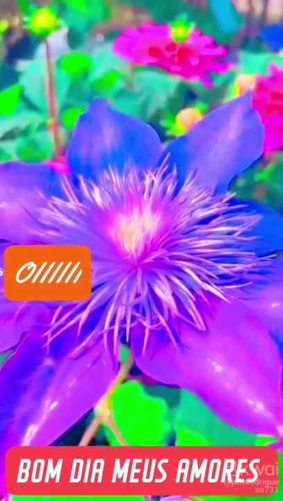 Flower status