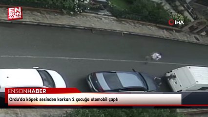 Ordu’da köpek sesinden korkan 2 çocuğa otomobil çaptı