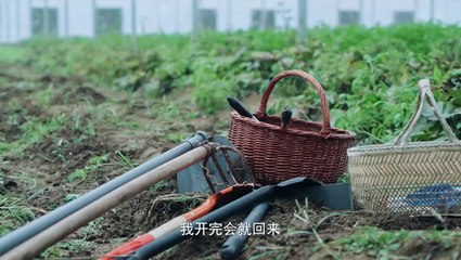 Tập 20 - Yêu Em Từ Dạ Dày - Dating In The Kitchen | Lâm Vũ Thân, Triệu Lộ Tư