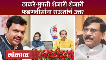 ते तुमचंच पाप आहे, संजय राऊतांचा फडणवीसांवर हल्ला...