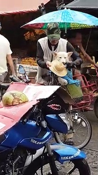 "Es mi fiel amigo": Abuelito conmueve al proteg...