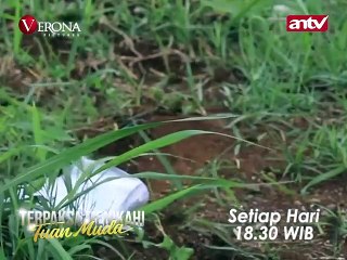KINANTI DAN TUAN MUDA DI KEJAR LEBAH ! TERPAKSA MENIKAHI TUAN MUDA