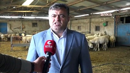 Aksaraylı Besici Erkek: "Vatandaşımız Geliyor Kurban Alıyor, Ödemeye Bütçesi Yetmiyor.