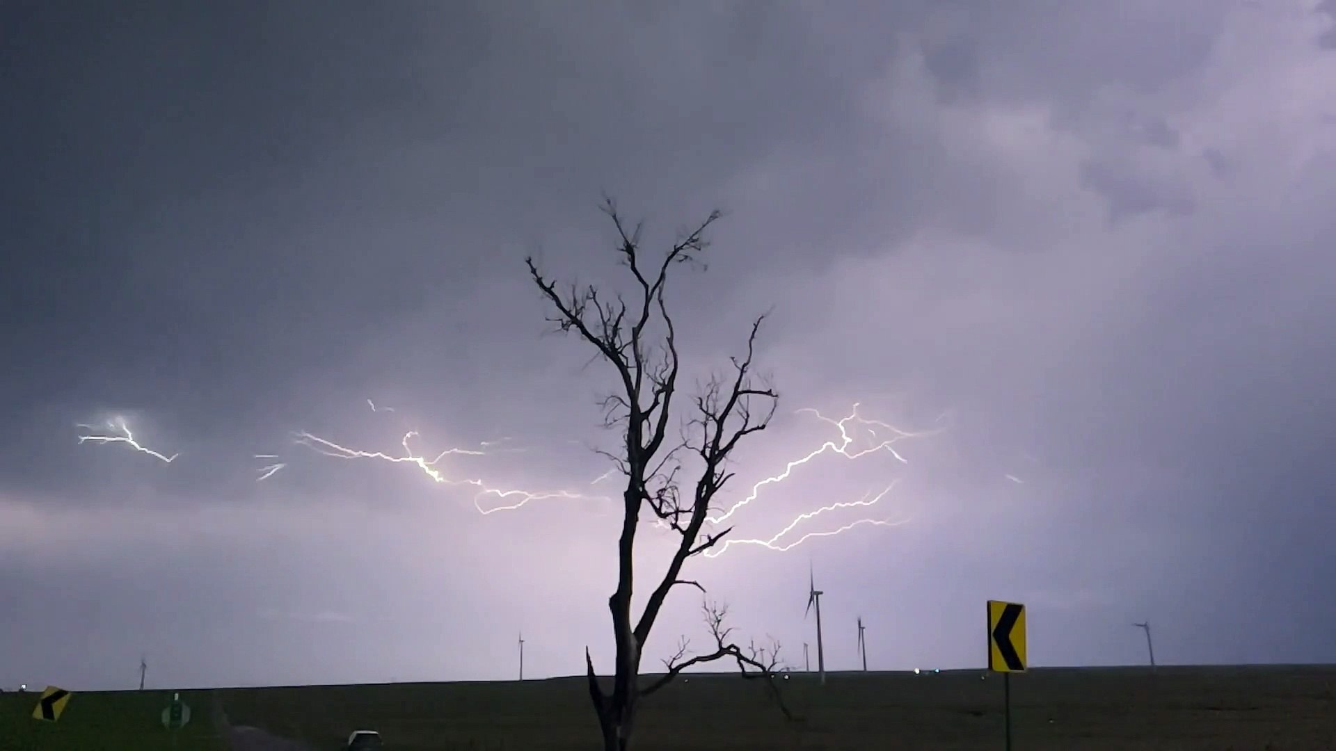 Tree Of Lightning