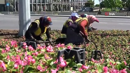 Lutte des femmes pour le pain sous le soleil brûlant : elles décorent la ville