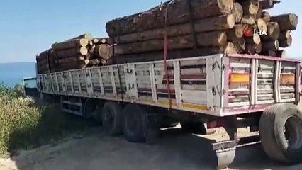 Il a pu s'arrêter lorsque le pneu du camion chargé de bûches a explosé... Ces instants ont été filmés.