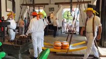 Hollanda'nın Alkmaar şehrinde ünlü peynir pazarı ziyaretçi akınına uğradı