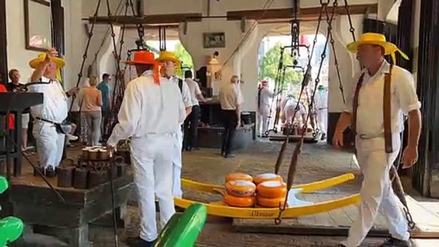 Hollanda'nın Alkmaar şehrinde ünlü peynir pazarı ziyaretçi akınına uğradı