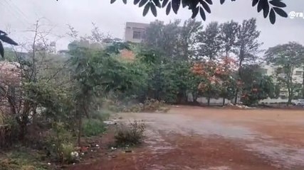 छिंदवाड़ा: मौसम विभाग का भारी बारिश का अलर्ट जारी,देखें रिपोर्ट