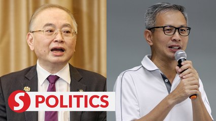 Dr Wee labels Pua a 'loose cannon' for his 'hurtful' comments