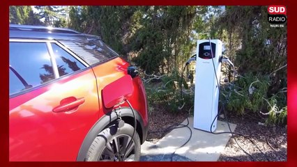 De plus en plus de conducteurs roulent sans assurance ! On parle auto