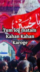 Matam Ye Sare Sansaar Main Hoga  Muharram Whatsapp Status 2023  #muharram  #muharram2023 #matam  #matamhussain  #matamhimatam  #azadari #muharramstatus  #muharramseries  #muharramspecial  #muharramsoon  #muharramsshort