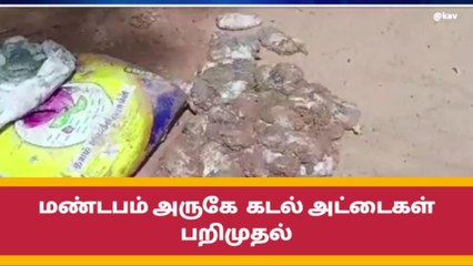 ராமநாதபுரம்: 2000 கிலோ கடல் அட்டைகள் பறிமுதல்!