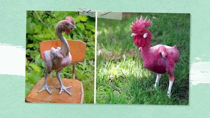 Snake That Wants to Grow Legs