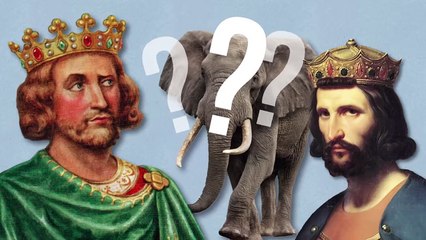 The Worst Zoo I've Ever Seen