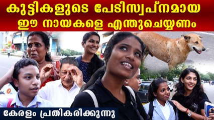 പിഞ്ചുകുഞ്ഞുങ്ങളെ ഇങ്ങനെ ചെയ്യുന്ന തെരുവ് നായകളെ എന്ത് ചെയ്യണം, കേരളം പറയുന്നു | Dogs In Kerala