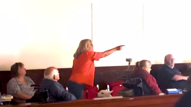 Humza Yousaf heckled as woman disrupts SNP independence convention