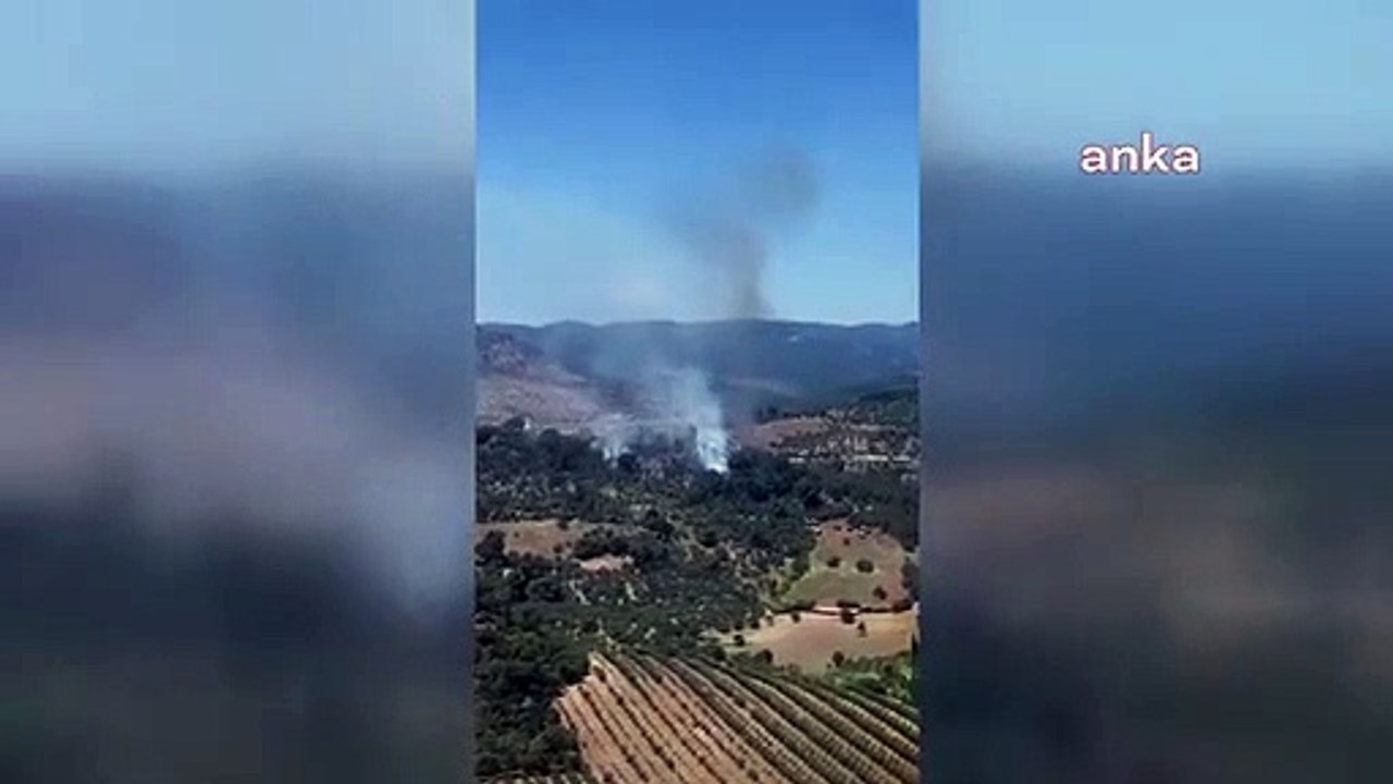 Bergama'da Orman Yangını Kontrol Altına Alındı