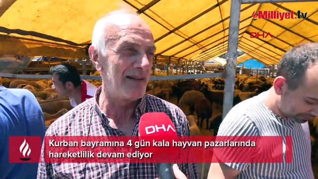 Kurban bayramına 4 gün kala hayvan pazarlarında hareketlilik devam ediyor