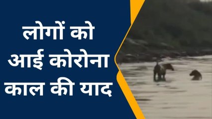 बक्सर : चौसा के समीप गंगा में एक साथ बहते दिखे कई शव, शवों को देखकर सहमे लोग