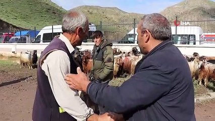 Küçükbaş kurbanlıklara ilgi gösteriliyor