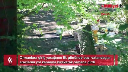 Ormanlara giriş yasağında ilk gün 