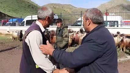 S'intéresser aux petits sacrifices de bétail