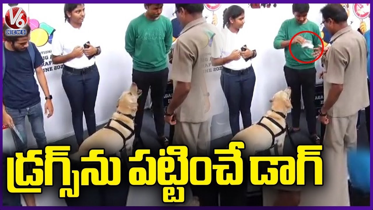 Dog Finding Drugs _ Narcotic Detection Dog _ V6 News