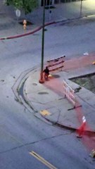 Seagulls Divebomb Piétons à l'intersection