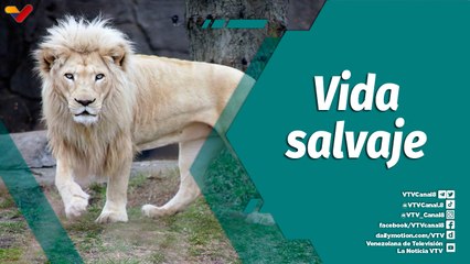 Punto Verde | Explorando la vida salvaje con los Guardianes del Zoológico de Caricuao