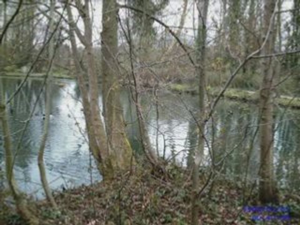 Parc de la bouvaque