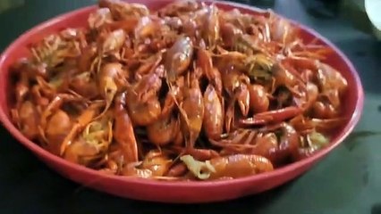 Mexican Gulf Tuna Swordfish Bottom Fishing!