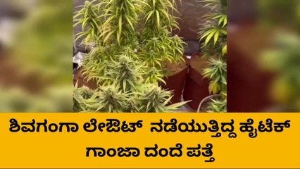 ಶಿವಮೊಗ್ಗ:ಪೊಲೀಸರ ಭರ್ಜರಿ ಕಾರ್ಯಾಚರಣೆ, ಹೈಟೆಕ್ ಗಾಂಜಾ ದಂದೆ ಪತ್ತೆ