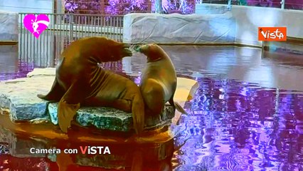 Brigate di cittadinanza. Su Camera con Vista su La7