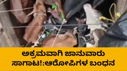 ಉ.ಕ:ಅಕ್ರಮಜಾನುವಾರು ಸಾಗಾಟ,ಆರೋಪಿಗಳು ಬಂಧನ