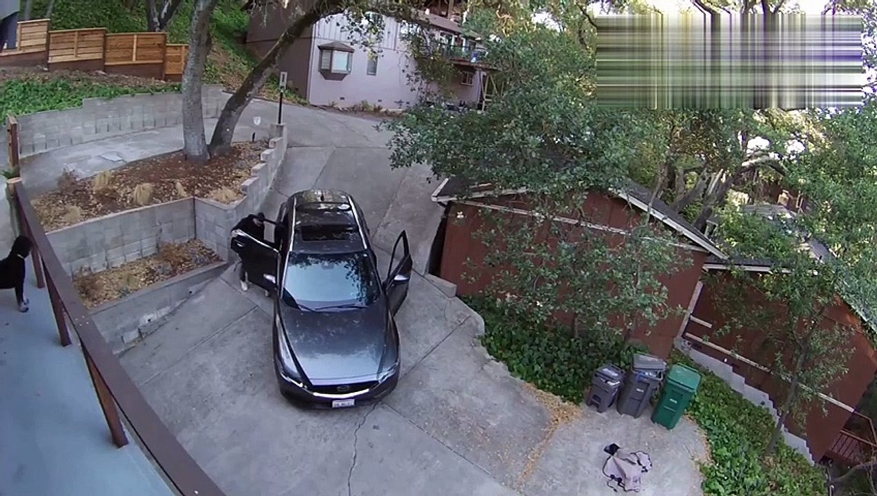 Noob and Idiot Drivers Compilations #137 Latest Cars crashes